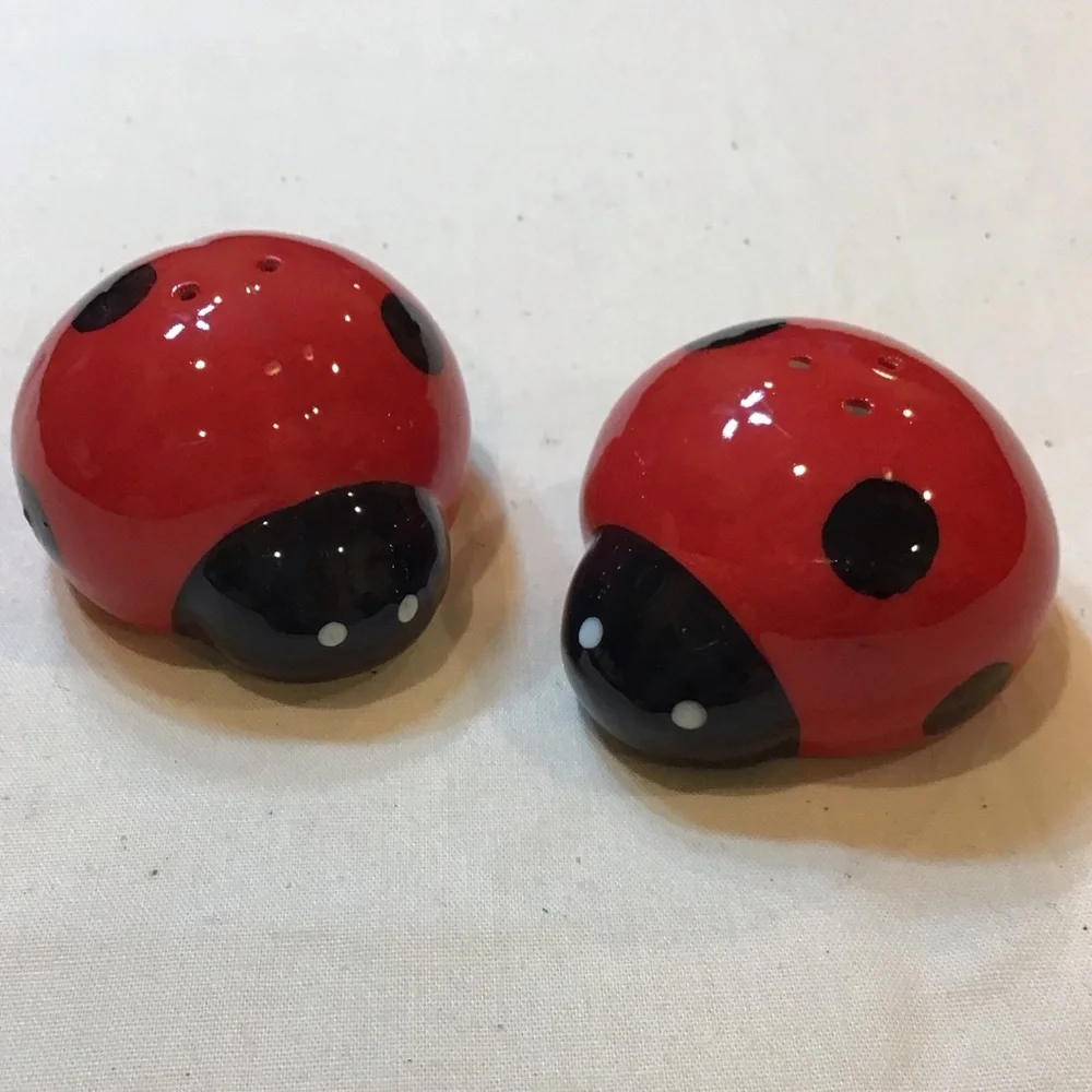 Ladybug Salt and Pepper Shaker Set